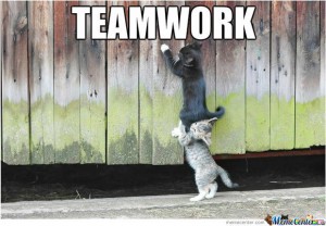 Teamwork